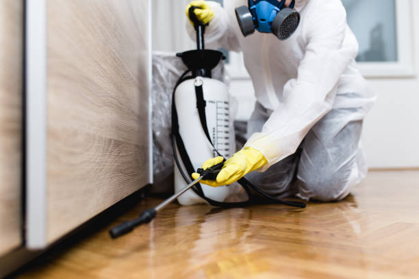 Wasp Removal Services in Lukachukai, AZ