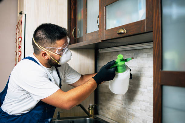 Best Rat Extermination Near Me  in Lukachukai, AZ