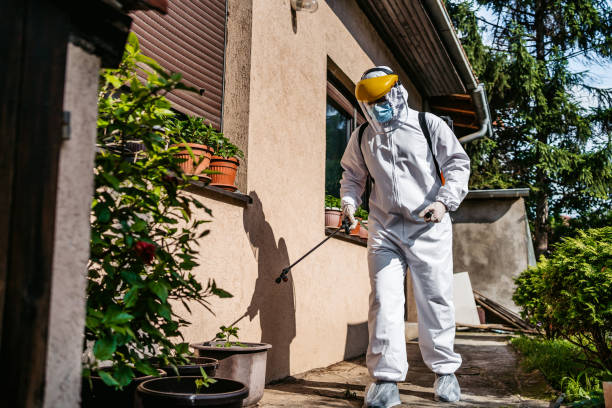 Best Emergency Pest Control  in Lukachukai, AZ