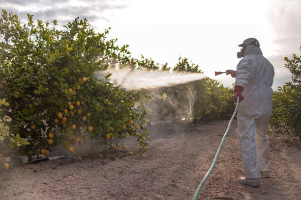 Insect Control in Lukachukai, AZ