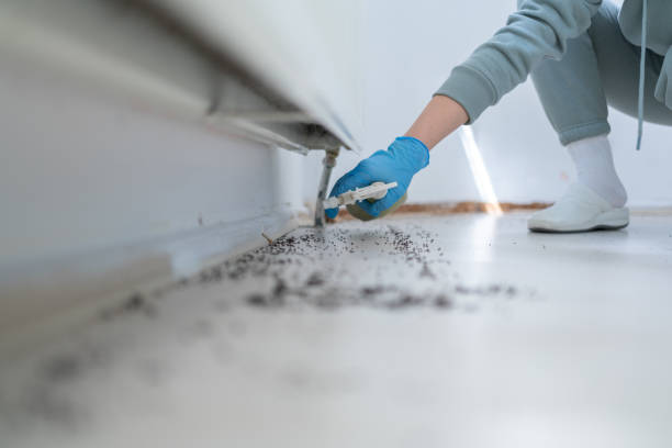 Best Pest Prevention Services  in Lukachukai, AZ