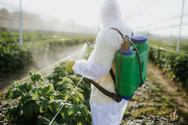 Best Exterminator Services  in Lukachukai, AZ